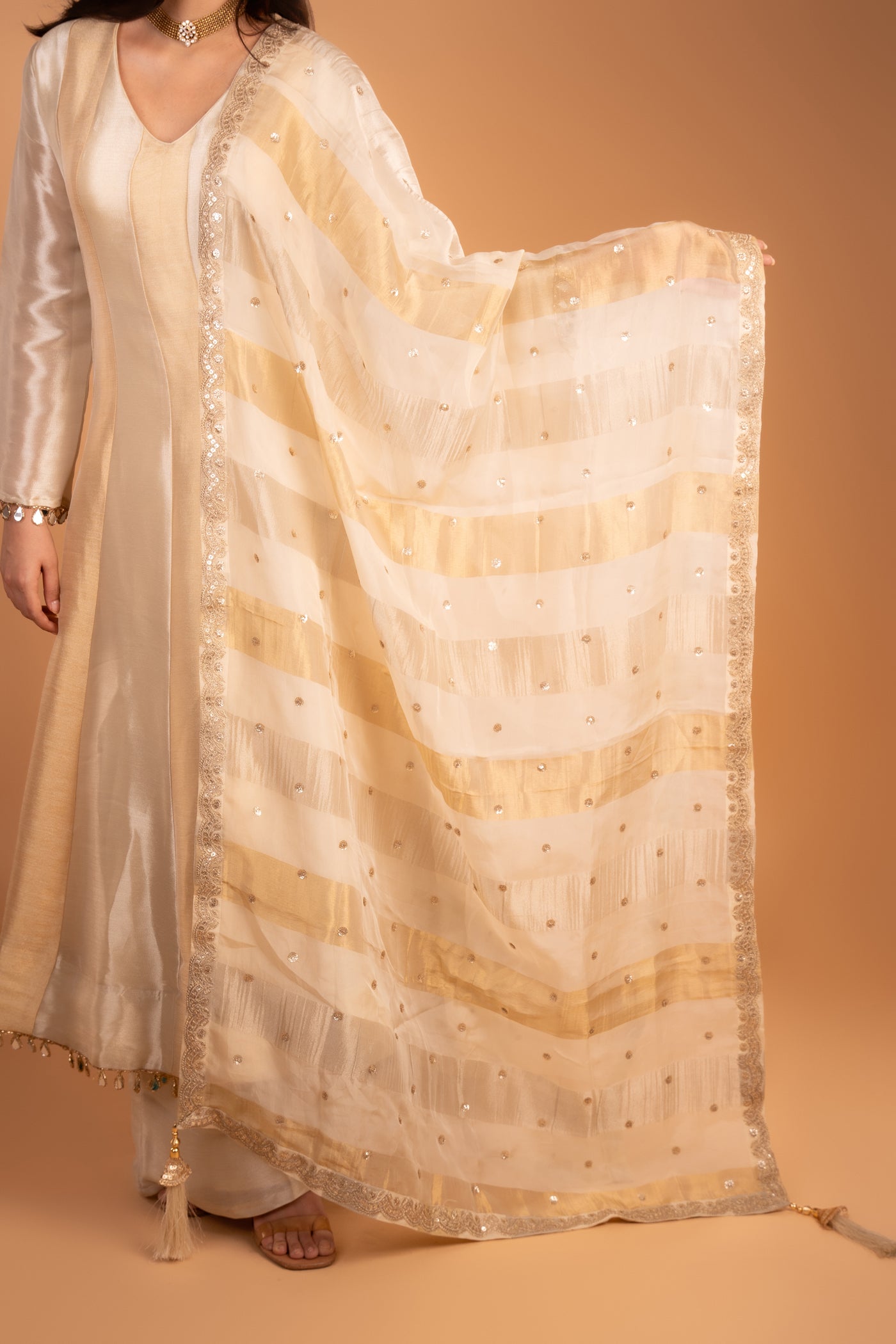 Champagne Gold and silver banaras tissue Silk Anarkali with Mirror work